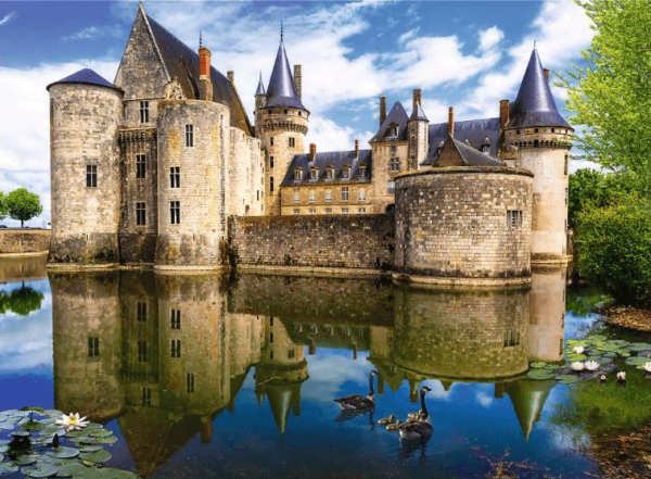 Castle of Sully sur Loire France