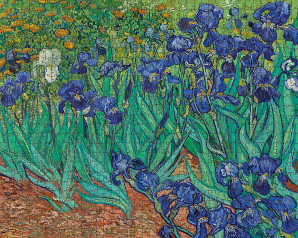 Van Gogh, Irises