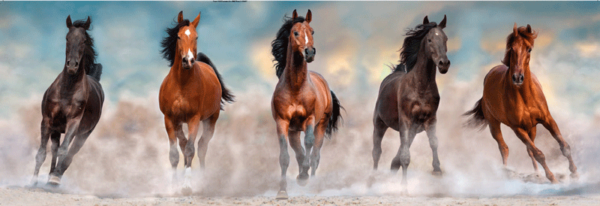 puzzle rompecabezas clementoni 1000 piezas horses caballos