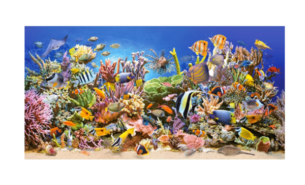 puzzle castorland 4000 piezas rompecabezas oceano underwaher life