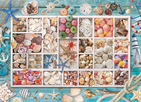 puzzle rompecabezas eurographics Seashell Collection - 1000 piezas