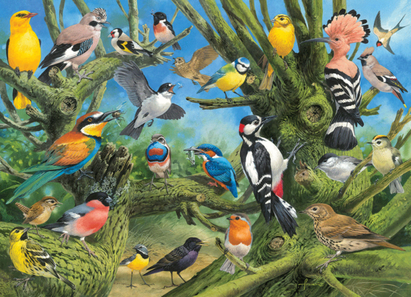 puzzle rompecabezas eurographics 1000 piezas Garden Birds pajaros