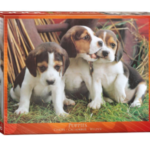 puzzle rompecabezas eurographics 1000 piezas Cachorros puppies