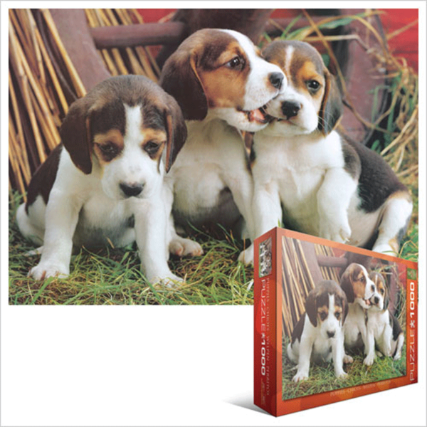 puzzle rompecabezas eurographics 1000 piezas Cachorros puppies