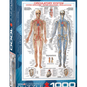 puzzle rompecabezas eurographics 1000 piezas sistema circulatorio el cuerpo humano