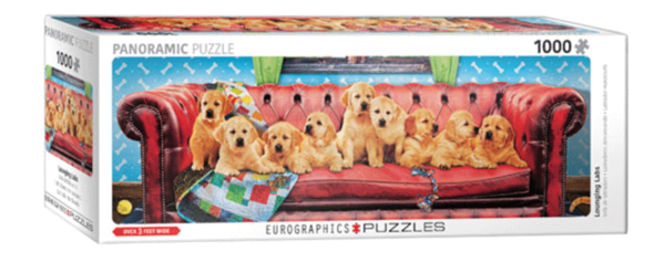 labradores descansando sillon, Panorámico puzzle rompecabezas eurographics 1000 piezas