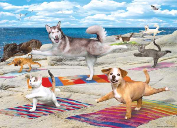 puzzle rompecabezas eurographics 300 piezas niños yoga beach adulto mayor