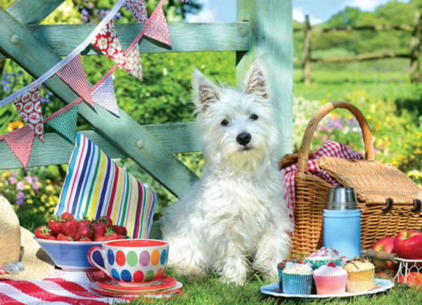 puzzle rompecabezas eurographics 500 piezas niños perro adulto mayor west highland terrier scottie dog picnic