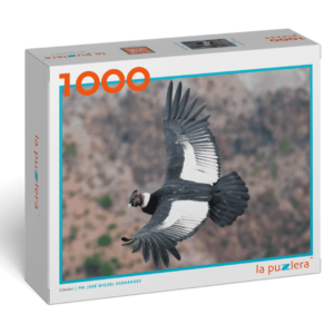 Puzzle rompecabezas 1000 piezas chile condor volando animal nacional chileno