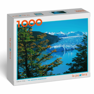 Puzzle rompecabezas 1000 piezas chile parque nacional Patagonia Torres del paine chileno glaciar grey