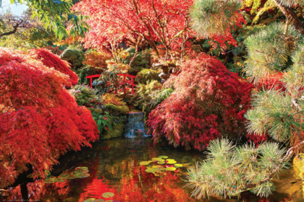 jardin japones puzzle rompecabezas eurographics 1000 piezas