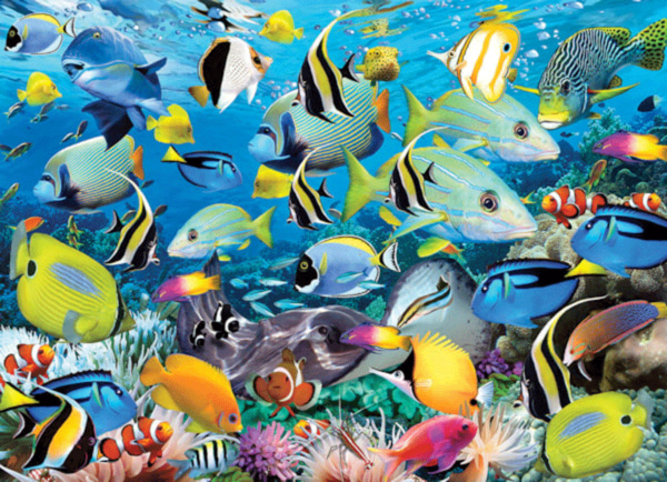 los colores del oceano peces puzzle rompecabezas eurographics 1000 piezas