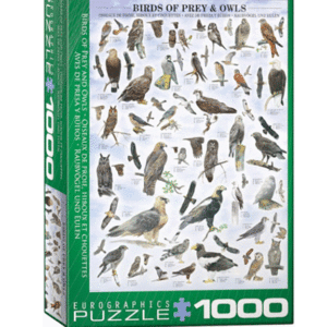 puzzle rompecabezas 1000 piezas eurographics la aves de presa pajaros y buhos