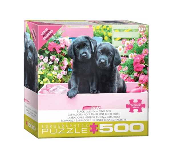 puzzle rompecabezas 500 piezas eurographics labradores negros en caja rosa xl piezas grandes adulto mayor cachorros