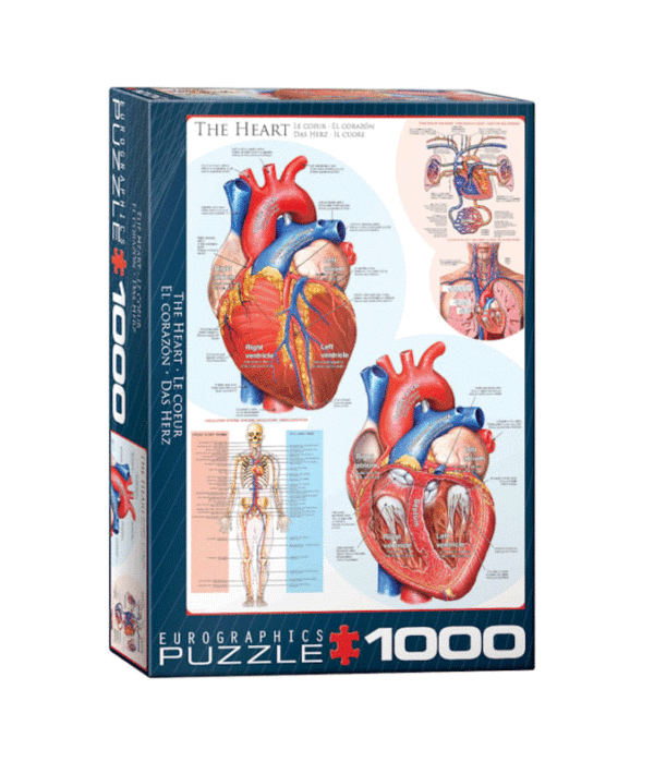 puzzle rompecabezas 1000 piezas eurographics el corazon cuerpo humano ciencia