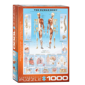 puzzle rompecabezas 1000 piezas eurographics el cuerpo humano