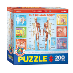 puzzle rompecabezas 300 piezas eurographics el cuerpo humano