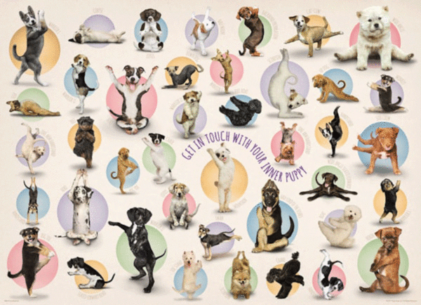 puzzle rompecabezas 300 piezas eurographics yoga dogs perro