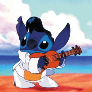 puzzle rompecabezas 1000 piezas photo puzzle lilo y stitch