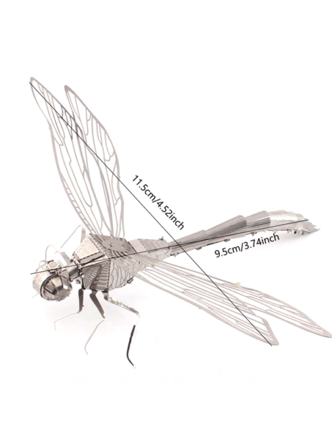 14 Diferencias Entre Libélula Y Caballito Del Diablo