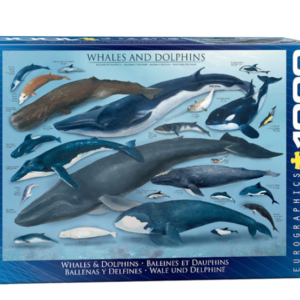 puzzle rompecabezas 1000 piezas eurographics paisaje ballenas y delfines