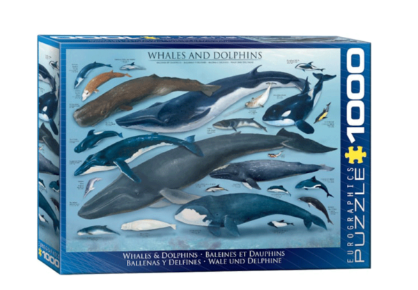 puzzle rompecabezas 1000 piezas eurographics paisaje ballenas y delfines