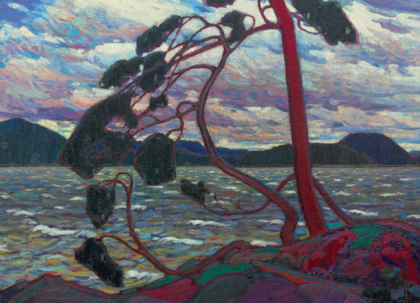 puzzle rompecabezas eurographics 1000 viento del oeste, Tom Thomson obra de arte pintura