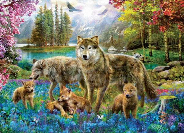 puzzle rompecabezas 500 piezas eurographics piezas xl grandes adulto mayor lobos y lago de fantasia